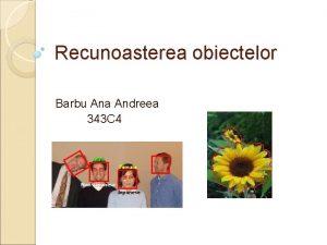 Recunoasterea obiectelor Barbu Ana Andreea 343 C 4