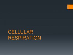 Respiration