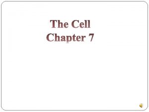 Discovery of the Cell Robert Hooke 16651 stperson