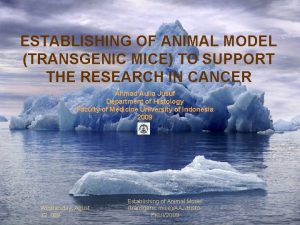 ESTABLISHING OF ANIMAL MODEL TRANSGENIC MICE TO SUPPORT