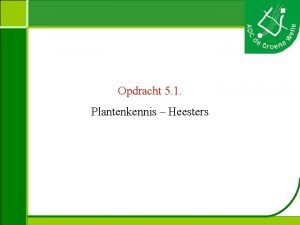 Opdracht 5 1 Plantenkennis Heesters Plantenkennis Aralia elata