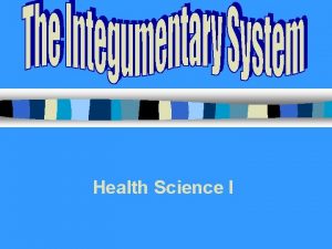 Health Science I INTEGUMENTARY SYSTEM n Skin Integument