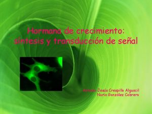 Hormana de crecimiento sntesis y transduccin de seal