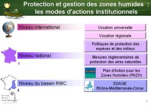 Zones humides