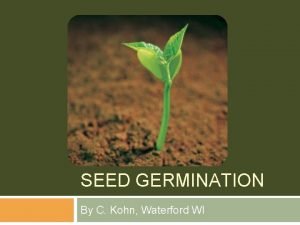 Factors affecting seed germination