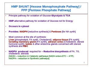 HMP SHUNT Hexose Monophosphate Pathway PPP Pentose Phosphate