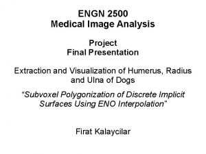 ENGN 2500 Medical Image Analysis Project Final Presentation
