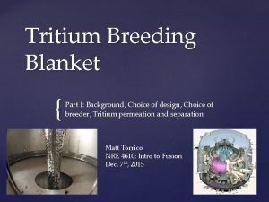 Tritium Breeding Blanket Part I Background Choice of