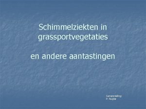 Schimmelziekten in grassportvegetaties en andere aantastingen Samenstelling P