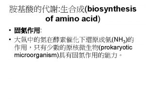 transamination reaction amino acid amino group keto acid