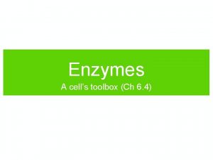 Chapter 12 enzymes the protein catalyst