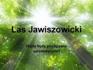 Las Jawiszowicki Slajdy bd przeczane automatycznie Jawiszowice znajduj