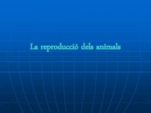 Reproducció dels animals