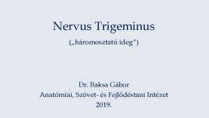 Nervus trigeminus