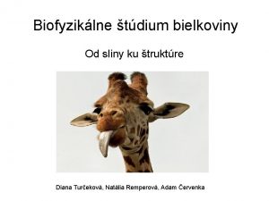 Biofyziklne tdium bielkoviny Od sliny ku truktre Diana