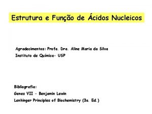 Função do nucleoide