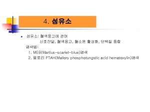 Masson trichrome 염색 Masson trichrome 염색