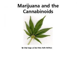 Marijuana and the Cannabinoids By Coley Genger and