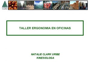 TALLER ERGONOMIA EN OFICINAS NATALIE CLARK URIBE KINESIOLOGA