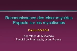 Reconnaissance des Macromyctes Rappels sur les myctismes Patrick