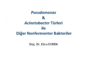 Pseudomonas Acinetobacter Trleri ile Dier Nonfermenter Bakteriler Do