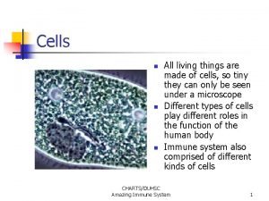 Cells All living things are made of cells