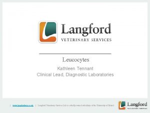 v Leucocytes Kathleen Tennant Clinical Lead Diagnostic Laboratories