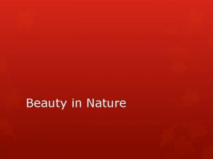 Icicle star andy goldsworthy Icicle star andy goldsworthy