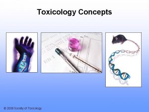 Toxicology Concepts 2008 Society of Toxicology Risk The