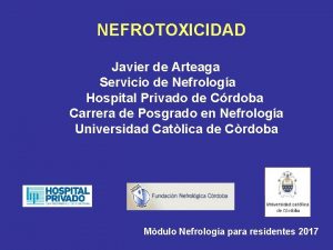 NEFROTOXICIDAD Javier de Arteaga Servicio de Nefrologa Hospital