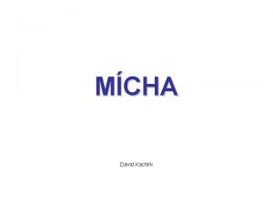 MCHA David Kachlk Mcha Medulla spinalis myelon dve