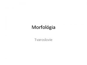 Tvarová rovina jazyka