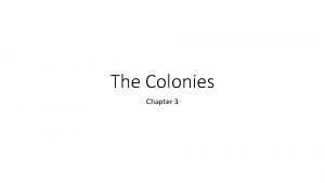 The Colonies Chapter 3 The Southern Colonies King