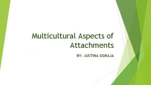 Multicultural Aspects of Attachments BY JUSTINA OGRAJA Glossary