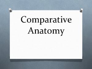 Comparative Anatomy Comparative Anatomy O Is the study