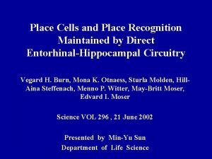 Place Cells and Place Recognition Maintained by Direct