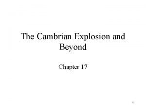 The Cambrian Explosion and Beyond Chapter 17 1