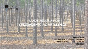 Plano regional de ordenamento florestal