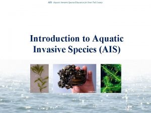 AIS Aquatic Invasive Species Education for Otter Tail