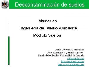 Descontaminacin de suelos Tcnicas fsicas y qumicas II