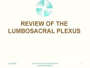 REVIEW OF THE LUMBOSACRAL PLEXUS 11242020 SCNM ANAT