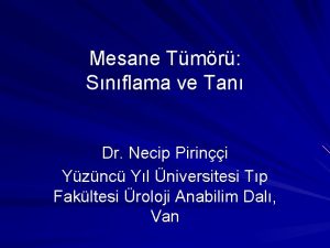 Mesane Tmr Snflama ve Tan Dr Necip Pirini