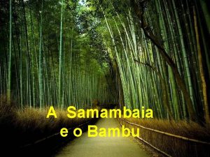 A Samambaia e o Bambu Certo dia decidi