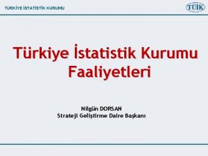 TRKYE STATSTK KURUMU Trkiye statistik Kurumu Faaliyetleri Nilgn