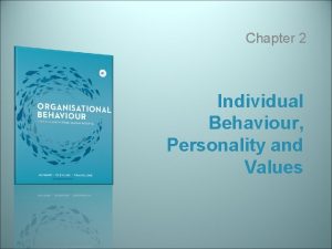 Individual behavior personality and values