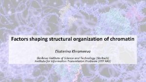 Factors shaping structural organization of chromatin Ekaterina Khrameeva