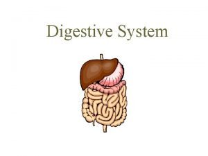 Digestive System What is digestion The breaking down