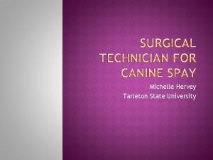 Tarleton vet program