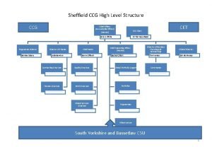 Sheffield CCG High Level Structure CCG Chief Officer