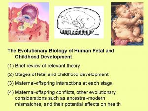 Implantation